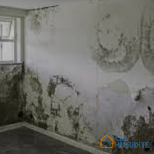Mur intérieur dégradé par l'humidité : moisissures noires étendues en partie basse au-dessus de la plinthe et auréoles sombres en haut du mur, près de l'angle de la fenêtre