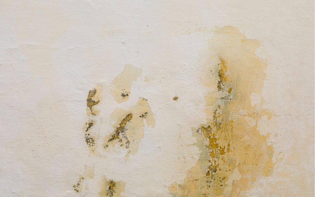 Mur intérieur endommagé par l’humidité avec peinture cloquée et taches de moisissures visibles