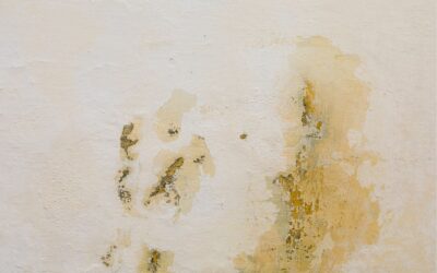 Les signes d’humidité à ne jamais ignorer dans votre maison