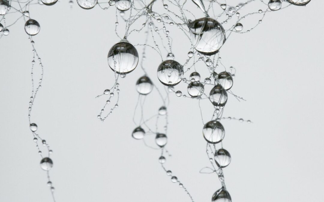 Mur humide avec condensation qui impacte la performance énergétique du logement
