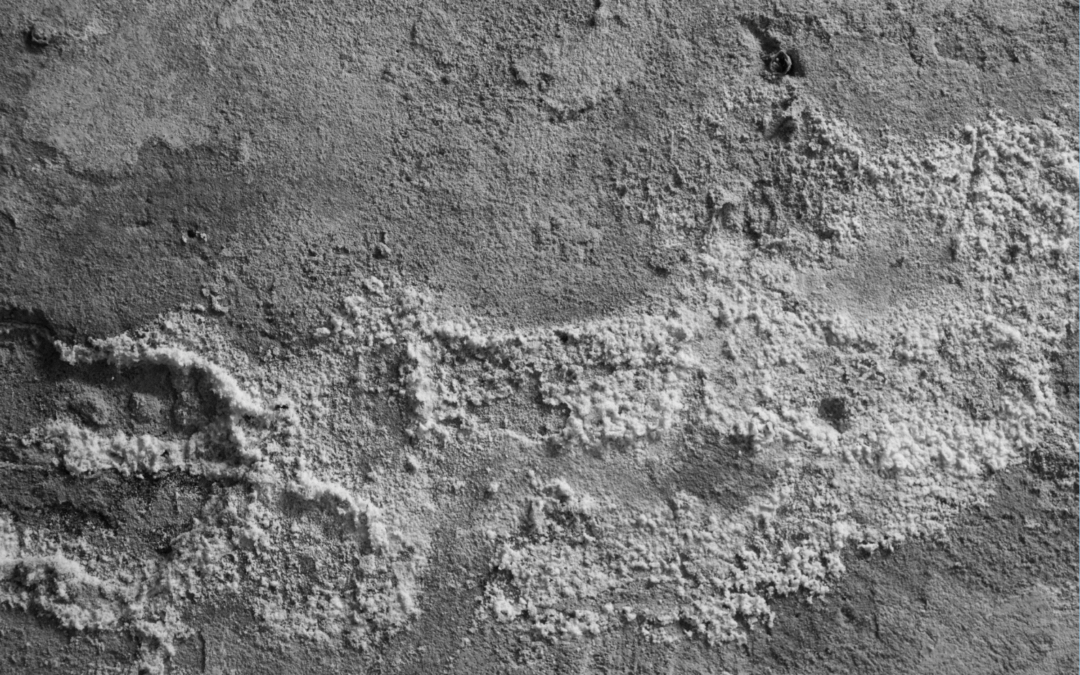 Salpêtre sur les murs : causes, diagnostic et traitement durable (Yvelines 78)