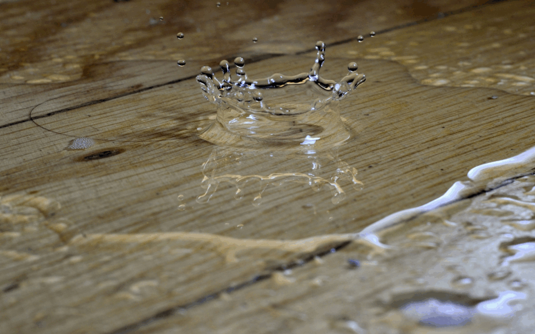 Après un dégât des eaux : protocole de séchage et prévention de l’humidité à Bezons et Houilles