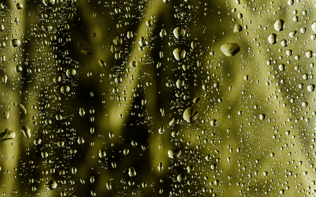 Cave humide : ventilation, enduits hydrofuges et bonnes pratiques à Poissy et Carrières-sous-Poissy