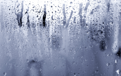 Traitement de l’humidité : les erreurs fréquentes à éviter